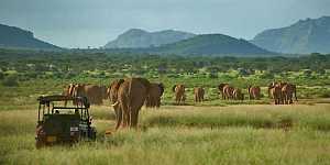 Samburu 4