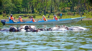 Lake Naivasha 5