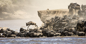Masai Mara 4