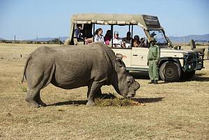 Ol Pejeta 5