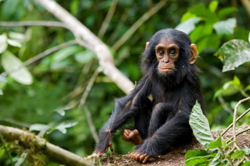 Uganda