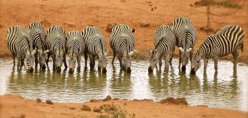 Tsavo West photo 1