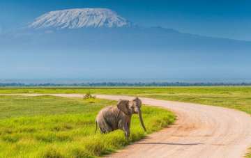 Amboseli photo 2
