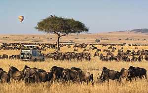 Masai Mara 5