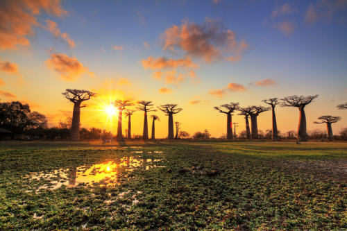 Madagascar