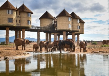 Taita Hills photo 2