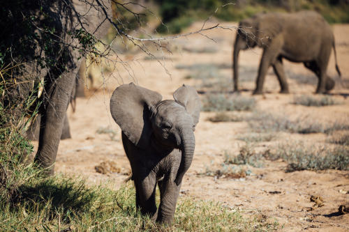 Tanzania