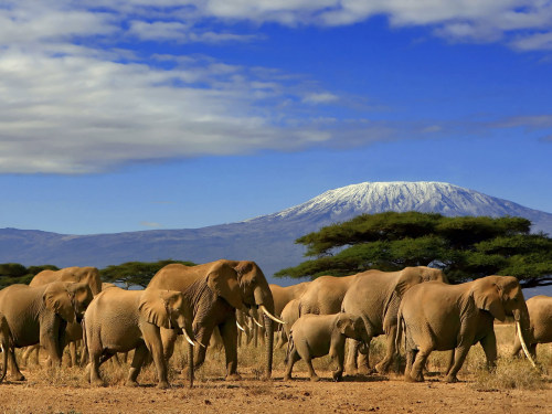 Kenya