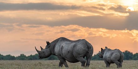 Ol Pejeta