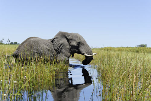 Botswana