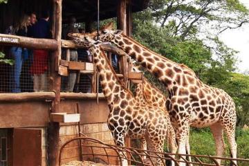 Nairobi photo 2