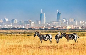 Nairobi National Park 3