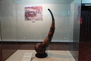 Nairobi National Museum 5