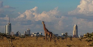 Nairobi 3