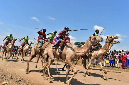 International Camel Derby