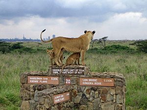 Nairobi National Park 2