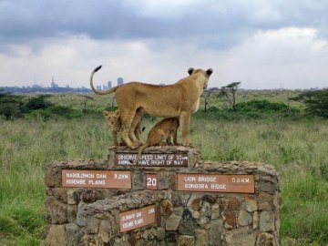 Nairobi National Park photo 2
