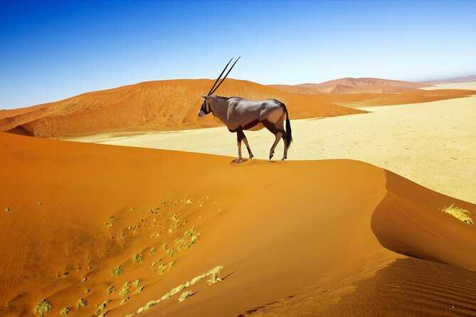 Main photo of Namibia