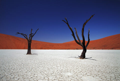 Scenic view of Namibia