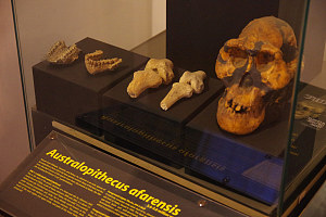 Ethiopia National Museum 4