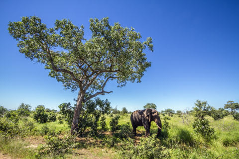Coastline view of Zimbabwe