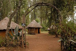 Bomas Of Kenya 2