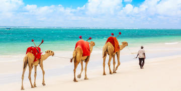 Diani Beach photo 1