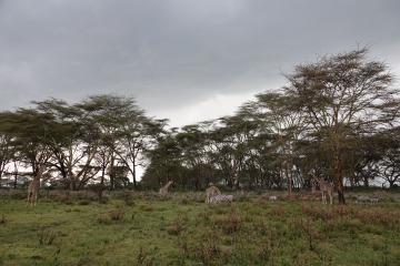 Crescent Island photo 1