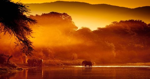 赞比亚景点风景