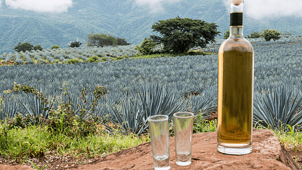 龙舌兰酒(Tequila)