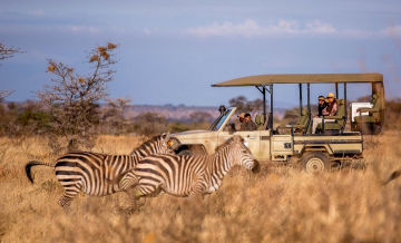 Nyerere NP photo 1