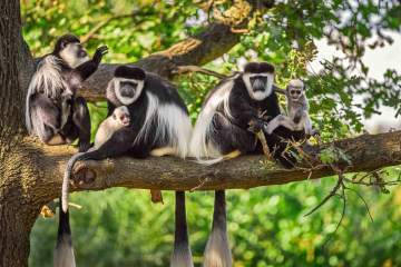 Arusha National Park photo 2