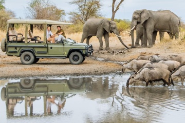 Lake Manyara photo 2