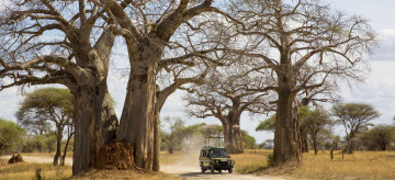 Ruaha photo 1