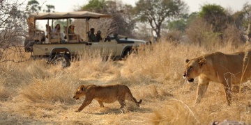 Ruaha photo 2