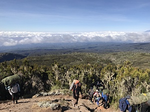 乞力马扎罗山 4