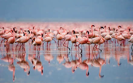 Lake Manyara