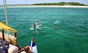 基温加海洋国家自然保护区 5