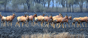 Omo National Park 4
