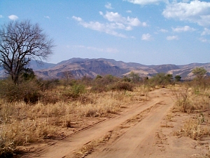 Mago National Park 5