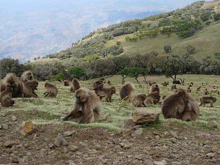 Mago National Park
