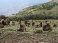 Mago National Park