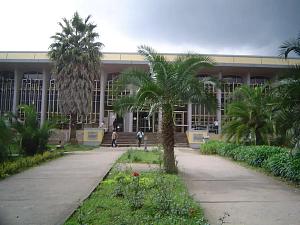 Addis Ababa University 5