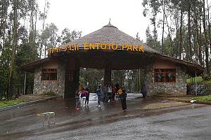 Entoto 2