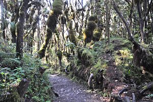 哈南山 3