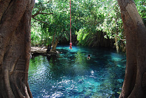 Kikuletwa Hotsprings 4