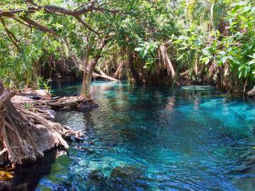 Kikuletwa Hotsprings photo 1