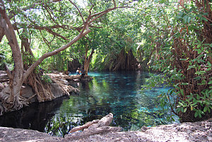 Kikuletwa Hotsprings 3