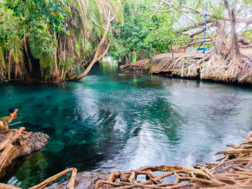 Kikuletwa Hotsprings photo 2