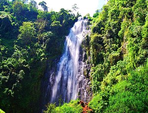 Marangu Waterfalls 4